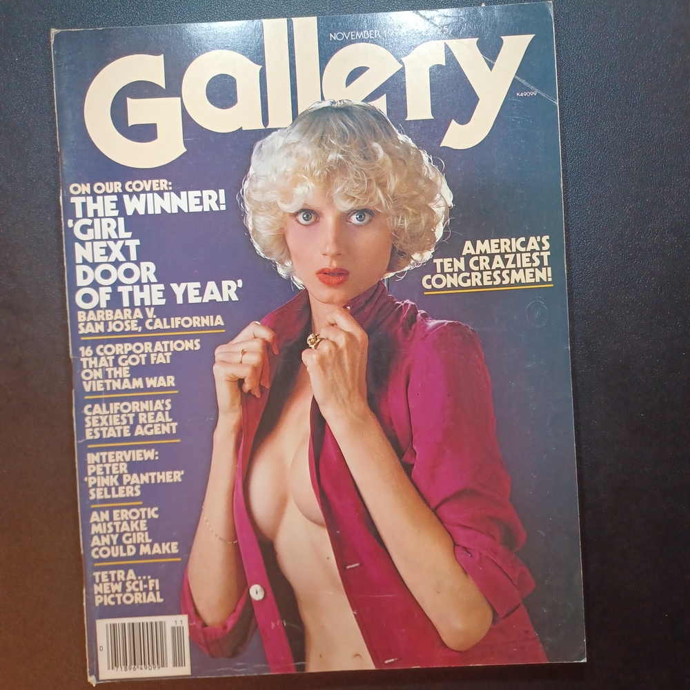 Vintage Gallery Magazine November 1978